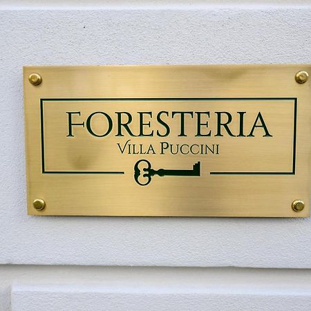 Foresteria Villa Puccini Casa Per Ferie Torre del Lago Puccini Eksteriør bilde